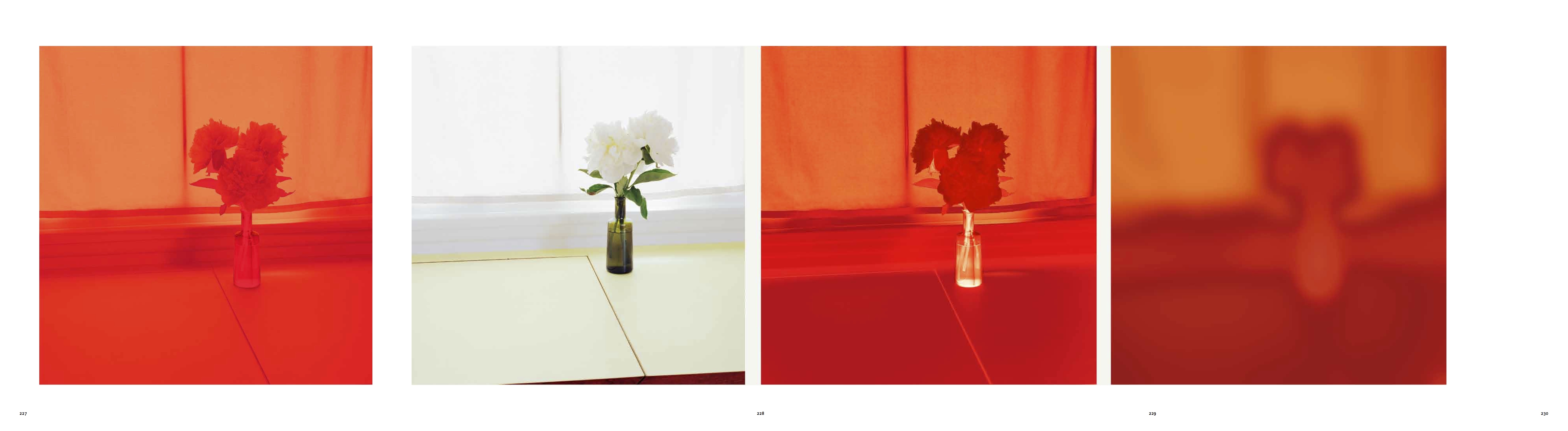 Uta Barth: The Long Now